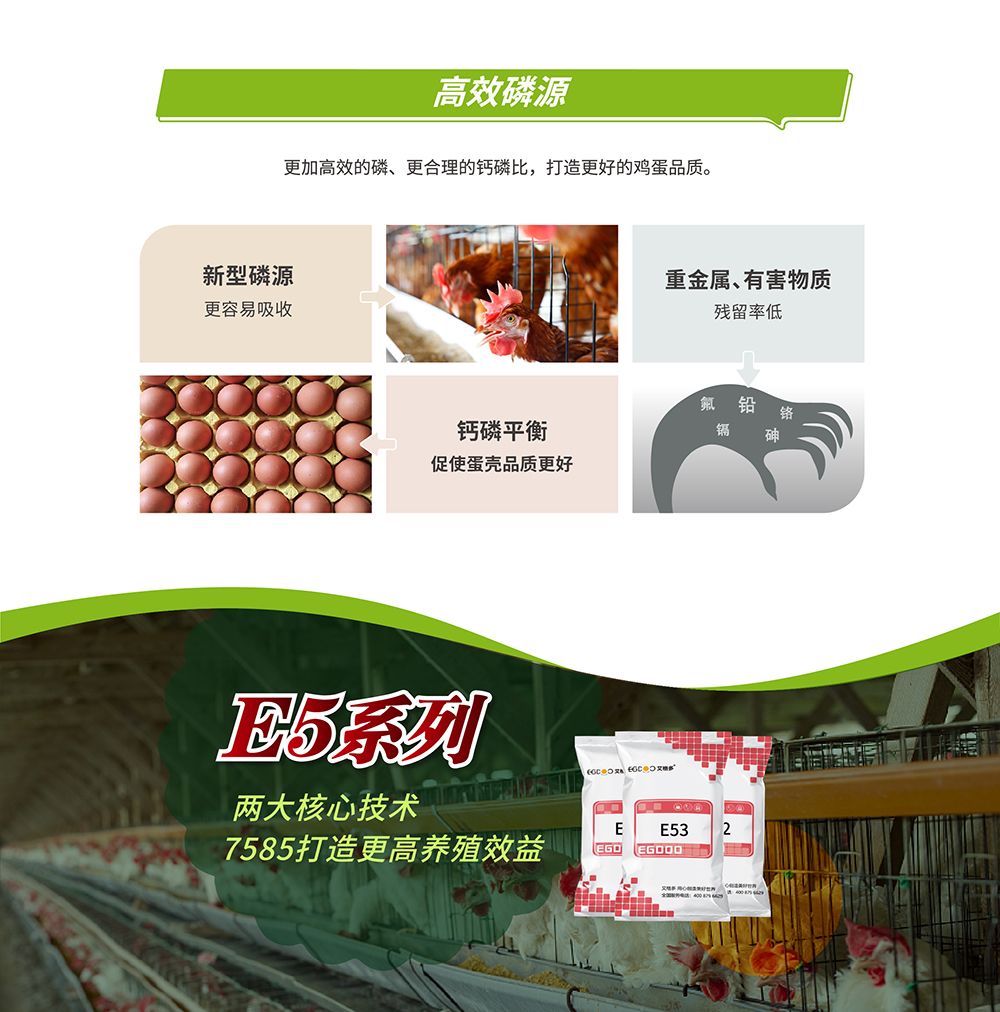 3E5詳情頁(yè)畫(huà)板 3@3x-100