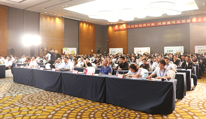 800會(huì)場(chǎng)